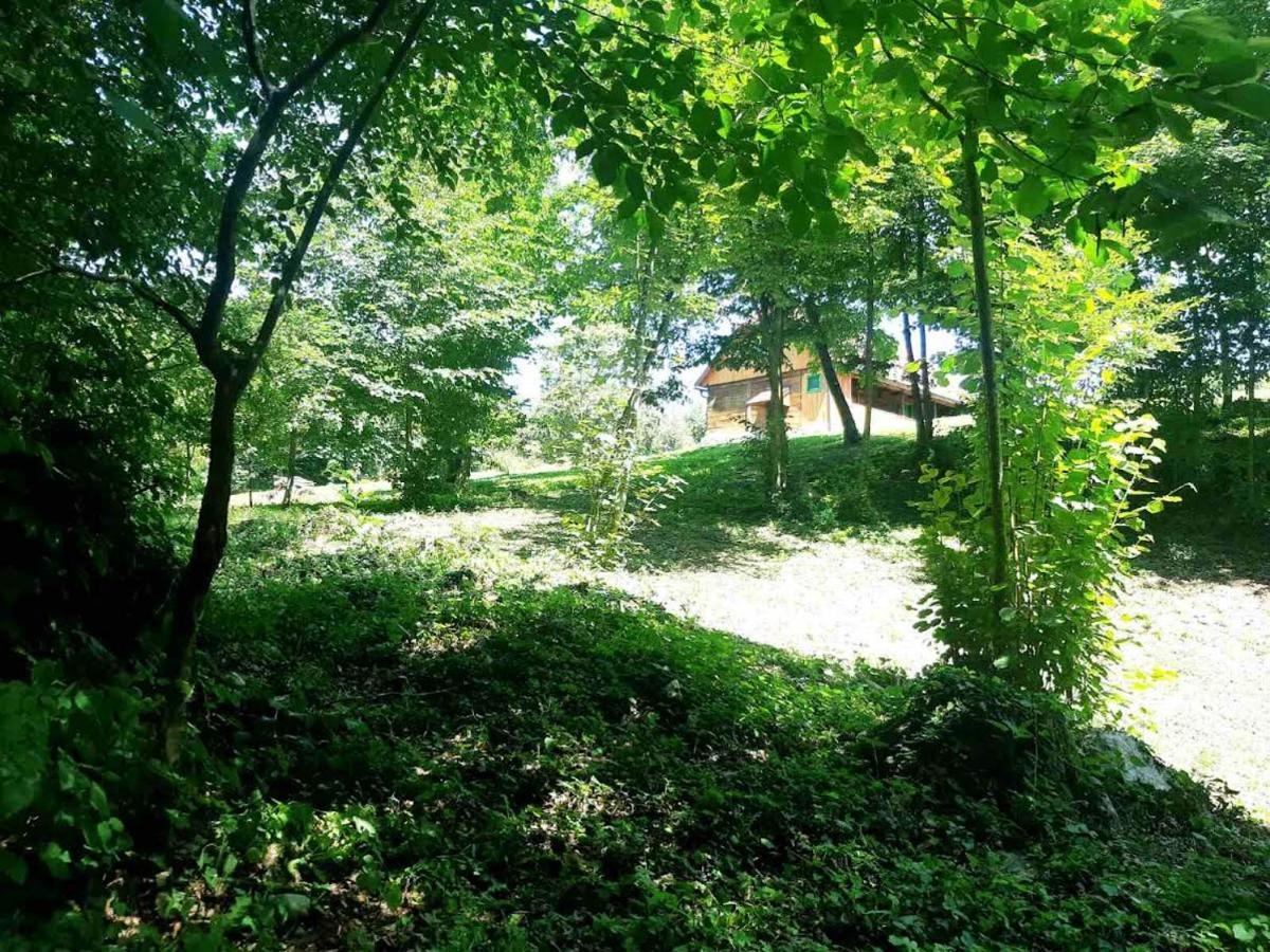 더가리사 Bakina Iza 빌라 외부 사진